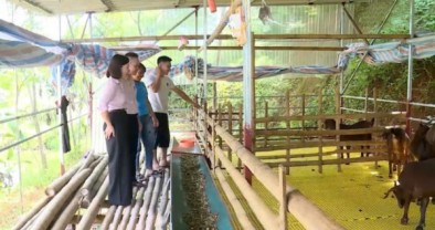 Dòng vốn tín dụng chính sách thông suốt, phủ kín vùng đất khó Tân Sơn