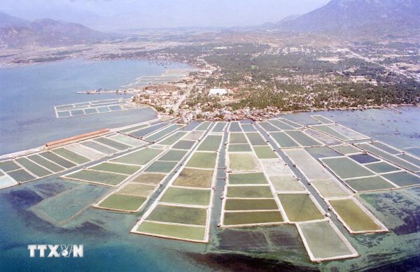 Phát triển nuôi tôm ở Nha Trang, Khánh Hòa (1996)