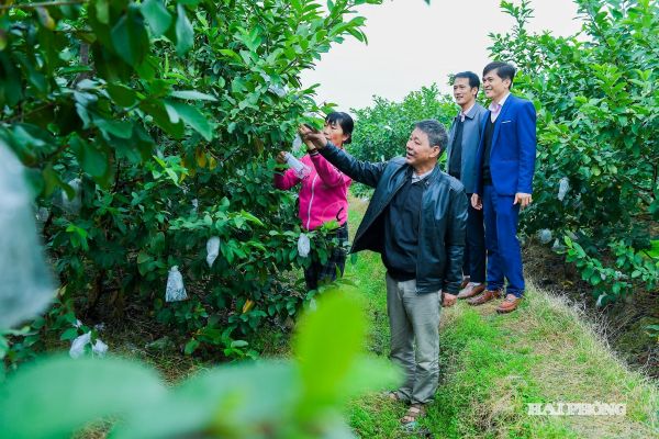 Với Nghị định số 338/2025/NĐ-CP của Chính phủ, người lao động, các cơ sở sản xuất, kinh doanh được nâng mức cho vay, đáp ứng nhu cầu về vốn tín dụng để mở rộng quy mô