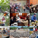 Hơn 11,1 triệu lượt hộ nghèo, hộ cận nghèo và các đối tượng chính sách khác được vay vốn để phát triển sản xuất, kinh doanh trong riêng 5 năm qua