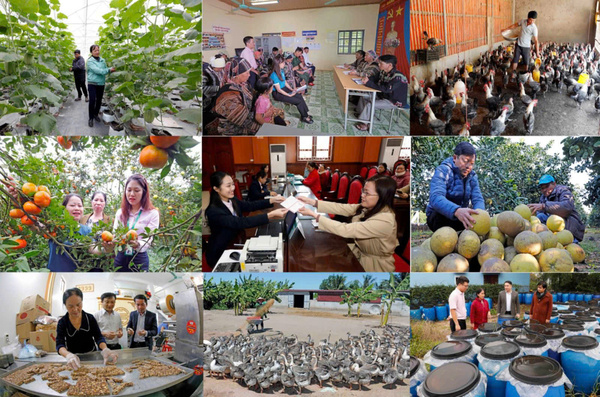 5a1188b003188c46d509 (1)