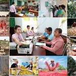 NHCSXH do Thủ tướng Chính phủ thành lập, hoạt động không vì mục tiêu lợi nhuận nhằm thực hiện các chính sách kinh tế - xã hội của Nhà nước