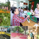 NHCSXH do Thủ tướng Chính phủ thành lập, hoạt động không vì mục tiêu lợi nhuận nhằm thực hiện các chính sách kinh tế - xã hội của Nhà nước