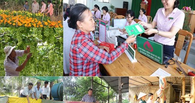 Quy định về tổ chức, hoạt động của NHCSXH