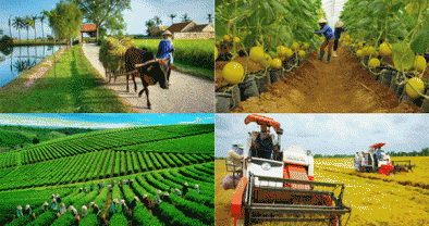 Hoàn thiện quy định về tổ chức và hoạt động của NHCSXH