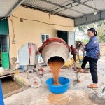 Chị Trần Thị Thanh Hải ở thôn Quang Khải, xã Phú Thái phát triển kinh tế hiệu quả nhờ nguồn vốn chính sách