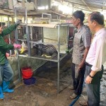 Nguồn vốn chính sách giúp người dân Sơn Hà có điều kiện phát triển kinh tế