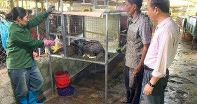 Hiệu quả từ nguồn vốn chính sách ở vùng cao Sơn Hà