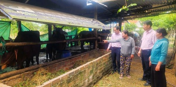 Gia đình bà Trầm Thị Hồng (thứ 2 từ trái sang) ở xã Tân Định được vay vốn, phục hồi sản xuất, chăn nuôi sau cơn lũ lịch sử