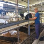 Mô hình vay vốn đầu tư chăn nuôi của anh Võ Chí Cường (trái) ở thôn Gò Sạn, xã Thuận Bắc