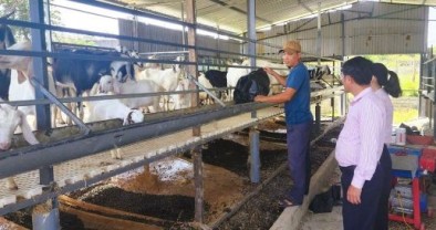 Khánh Hòa: Tín dụng chính sách phát huy vai trò là “đòn bẩy” an sinh