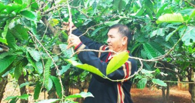 Giữ nhịp dòng vốn chính sách giữa đại ngàn Tây Nguyên