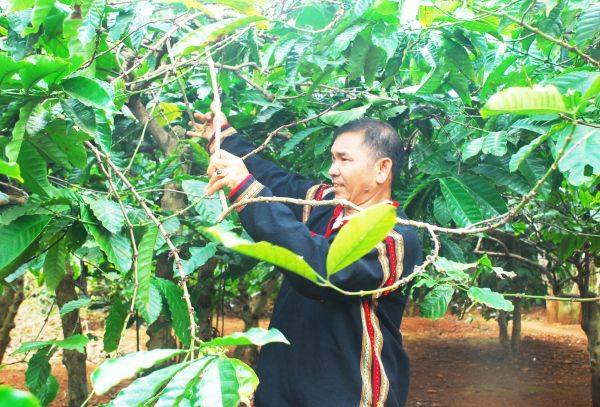 Dù bộ máy có thay đổi, nhưng “mạch máu” tín dụng chính sách vẫn giữ vững, không để người dân phải chờ vốn Dù bộ máy có thay đổi, nhưng “mạch máu” tín dụng chính sách vẫn giữ vững, không để người dân phải chờ vốn