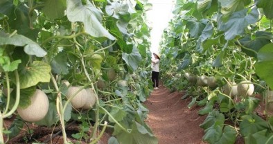 Bài 2: Khát vọng vươn lên từ dòng vốn ưu đãi