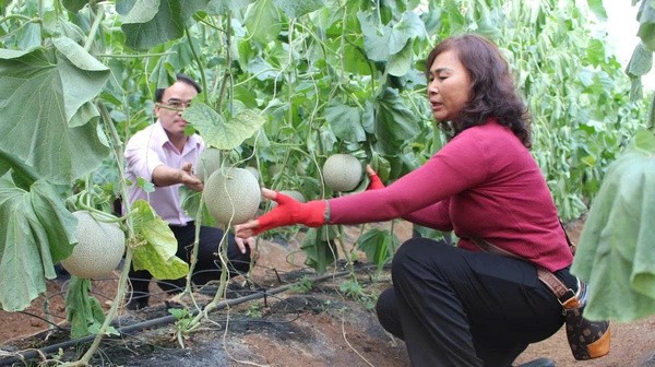 Nguồn vốn chính sách như “mạch ngầm” bền bỉ, len lỏi vào từng ngõ ngách của đời sống nông thôn Nguồn vốn chính sách như “mạch ngầm” bền bỉ, len lỏi vào từng ngõ ngách của đời sống nông thôn