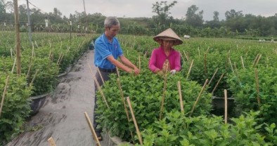 Giải ngân vốn tín dụng chính sách phục vụ sản xuất ngay từ đầu năm