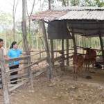 Anh Điểu Xét (giữa) chia sẻ hiệu quả sử dụng nguồn vốn chính sách