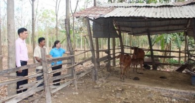 TẾT AN VUI (Bài 1: Dân biên giới vững sinh kế, đón xuân vui)