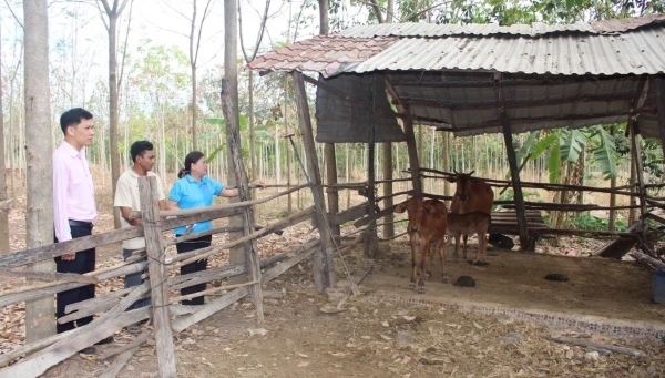 dong nai 1 dong nai 1