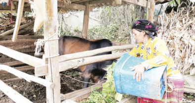 Duy trì dòng chảy nguồn vốn tín dụng chính sách