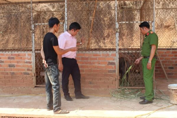 Trong nhịp sống nông thôn mới, tín dụng chính sách trở thành điểm tựa nhân văn cho người lầm lỗi làm lại cuộc đời