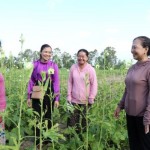 Chị Thạch Thị Chane Tha (ngoài cùng bên trái) ở ấp Tân Ngại, xã Song Lộc (Vĩnh Long) được vay vốn 35 triệu đồng để đầu tư trồng trọt, cải thiện sinh kế