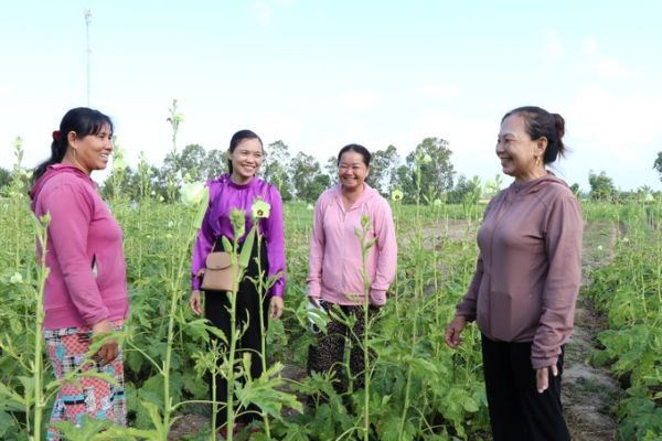 Chị Thạch Thị Chane Tha (ngoài cùng bên trái) ở ấp Tân Ngại, xã Song Lộc (Vĩnh Long) được vay vốn 35 triệu đồng để đầu tư trồng trọt, cải thiện sinh kế