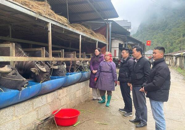 cao-bang-2_1772254121 (1)