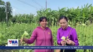 Tín dụng chính sách giúp phụ nữ dân tộc Khmer Vĩnh Long phát triển kinh tế (VNmedia - 28.3.2026)