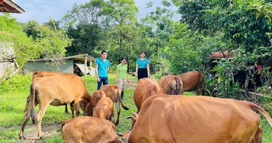 Tín dụng chính sách ở Nghệ An tăng trưởng ngay từ đầu năm