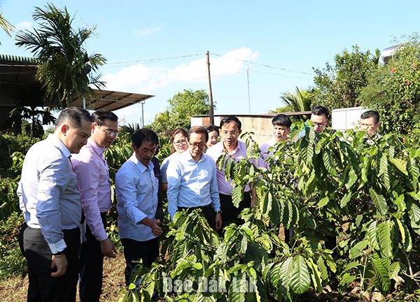 img_0261_20260316192323