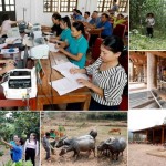 Nguồn vốn chính sách đã đáp ứng kịp thời nhu cầu vay, giúp người nghèo và các đối tượng chính sách trên địa bàn tỉnh Nghệ An có điều kiện đầu tư phát triển kinh tế và vươn lên thoát nghèo