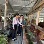 Những cán bộ Phòng giao dịch NHCSXH An Khê luôn gắn bó cơ sở, tận tình giúp dân sử dụng vốn chính sách hiệu quả phát triển sản xuất kinh doanh, cải thiện cuộc sống