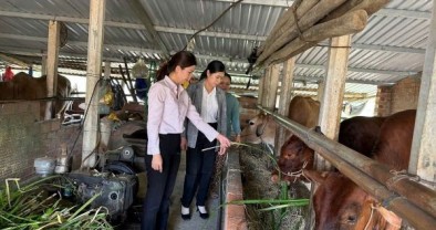 Dấu ấn tín dụng chính sách trên vùng sơn cước An Khê