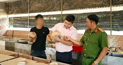 Mở lối hoàn lương bằng chính sách nhân văn