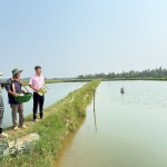 Người dân xã Phú Vang cải tạo ao đầm, khôi phục nuôi trồng thủy sản nhờ nguồn vốn tín dụng chính sách sau mưa lũ