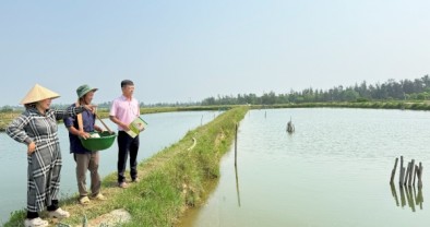 Tín dụng chính sách đồng hành cùng người dân vùng đầm phá Tam Giang vượt khó sau thiên tai