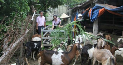 Tín dụng chính sách: “Đòn bẩy” giúp đổi thay diện mạo Quỳnh Lưu