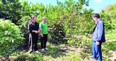 Nguồn lực hỗ trợ nông dân Điện Biên vươn lên