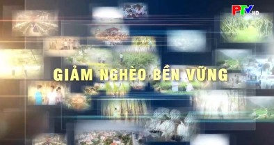 Nâng cao thu nhập đồng bào dân tộc thiểu số Phú Thọ (PTV - 15.04.2026)