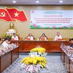 Các đại biểu tham dự buổi làm việc