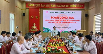 Tổng Giám đốc Dương Quyết Thắng làm việc với chi nhánh NHCSXH tỉnh Gia Lai