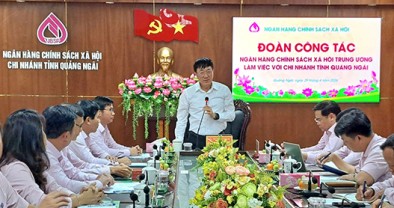 NHCSXH tỉnh Quảng Ngãi cần tăng cường nhận vốn ủy thác cho vay giải quyết việc làm