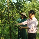 Cán bộ NHCSXH luôn bám sát cơ sở, tận tình giúp dân vay vốn, sử dụng vốn sản xuất kinh doanh hiệu quả