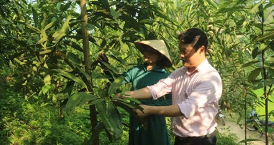 Dòng chảy tín dụng chính sách nơi trung du miền núi Thái Nguyên