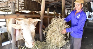 Đồng bào Khmer thoát nghèo từ nguồn vốn tín dụng chính sách