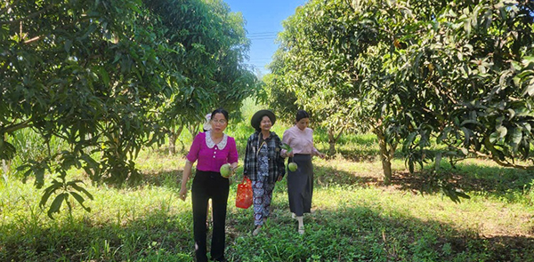 z7743752897829-d391b101f0c2031e8e2ccecb50f09efe20260420143015