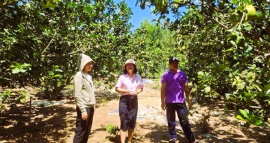 Khơi thông sinh kế từ dòng vốn tín dụng chính sách