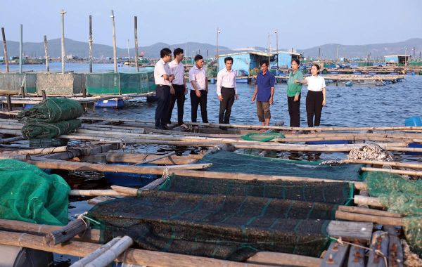 Từ nguồn vốn chính sách đã giúp người dân khôi phục sản xuất, kinh doanh, ổn định cuộc sống