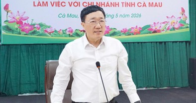 Hơn 9.440 tỷ đồng vốn tín dụng chính sách phục vụ an sinh xã hội tại Cà Mau